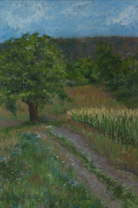 august-morning-on-springtai_med