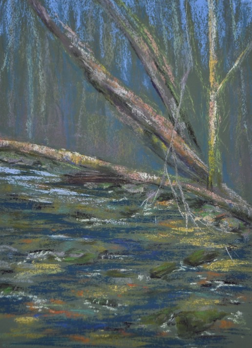 hook-natural-area-woodland_med