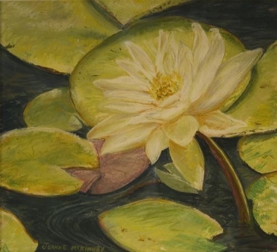 water-lily_med
