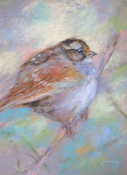 white-throated-sparrow_med